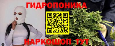 стафф Краснокаменск
